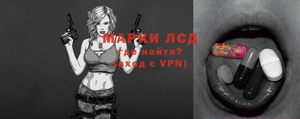 прущие грибы Алзамай
