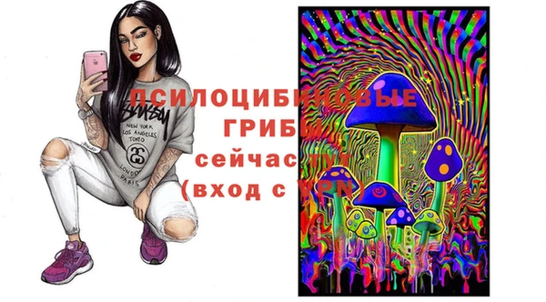 прущие грибы Алзамай