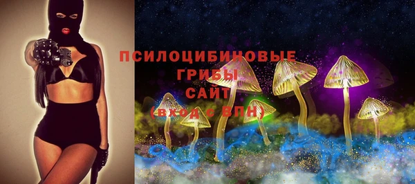 прущие грибы Алзамай