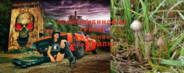 скорость mdpv Алексеевка