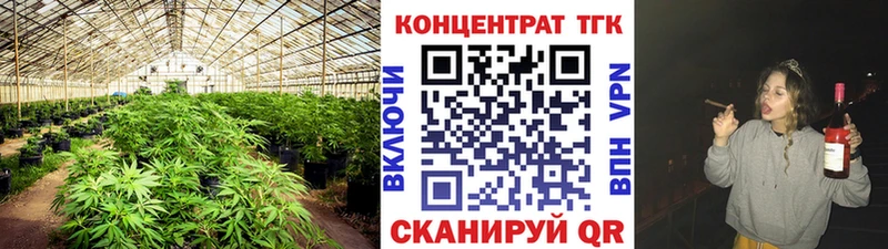 дарнет шоп  Алексеевка  ТГК жижа 