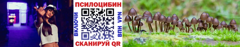 Псилоцибиновые грибы Psilocybine cubensis  нарко площадка клад  Алексеевка 