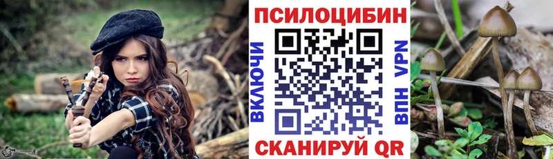 Псилоцибиновые грибы мицелий Алексеевка